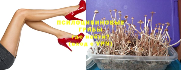дживик Костерёво